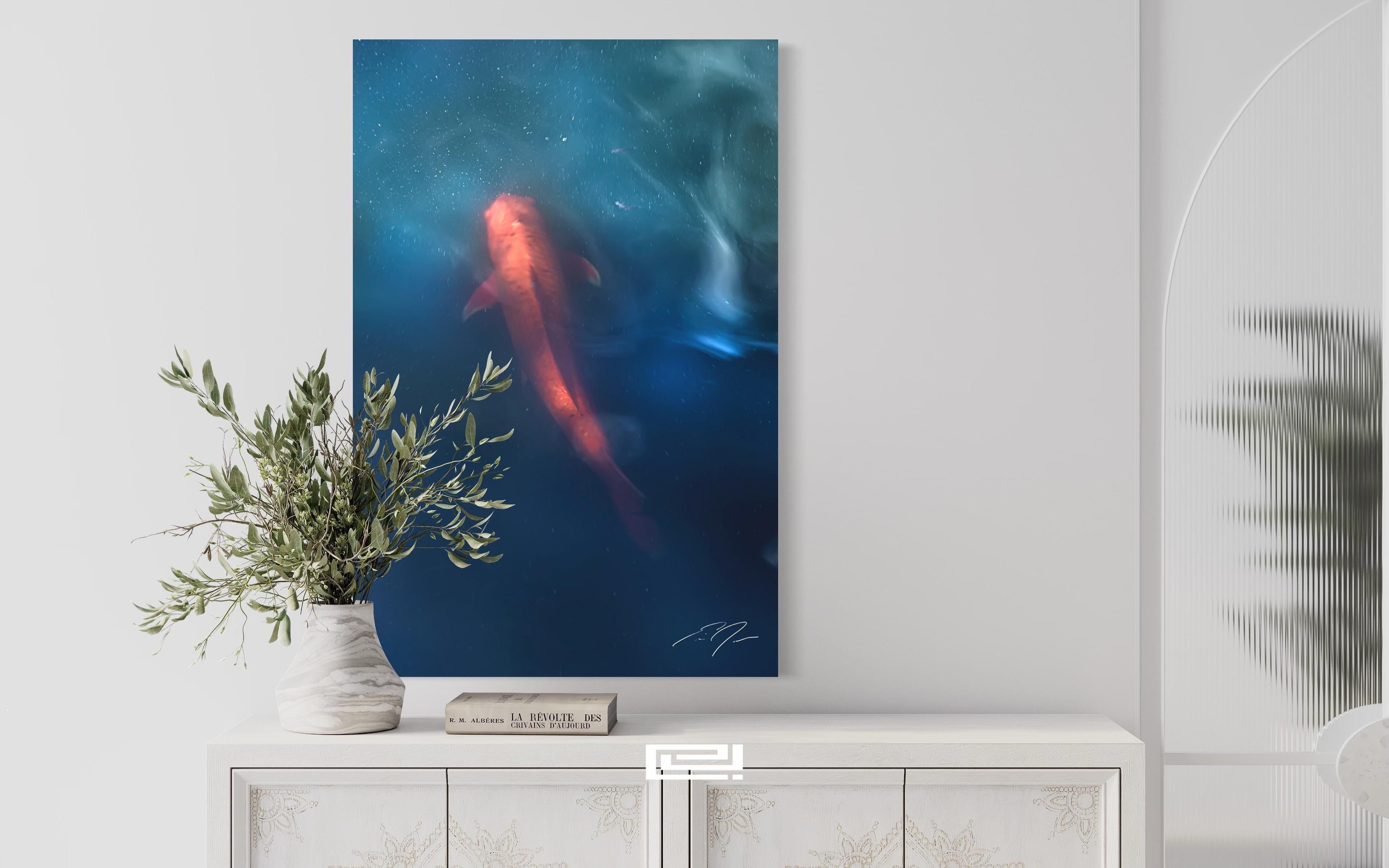 Koi (2022)