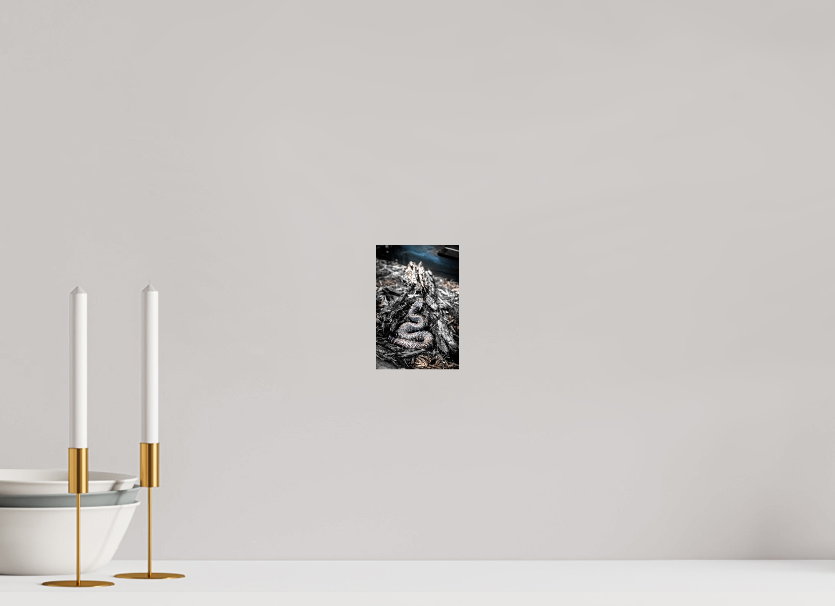 4 x 6″, PHOTO PRINT - FUJIFLEX HIGH GLOSS COILED