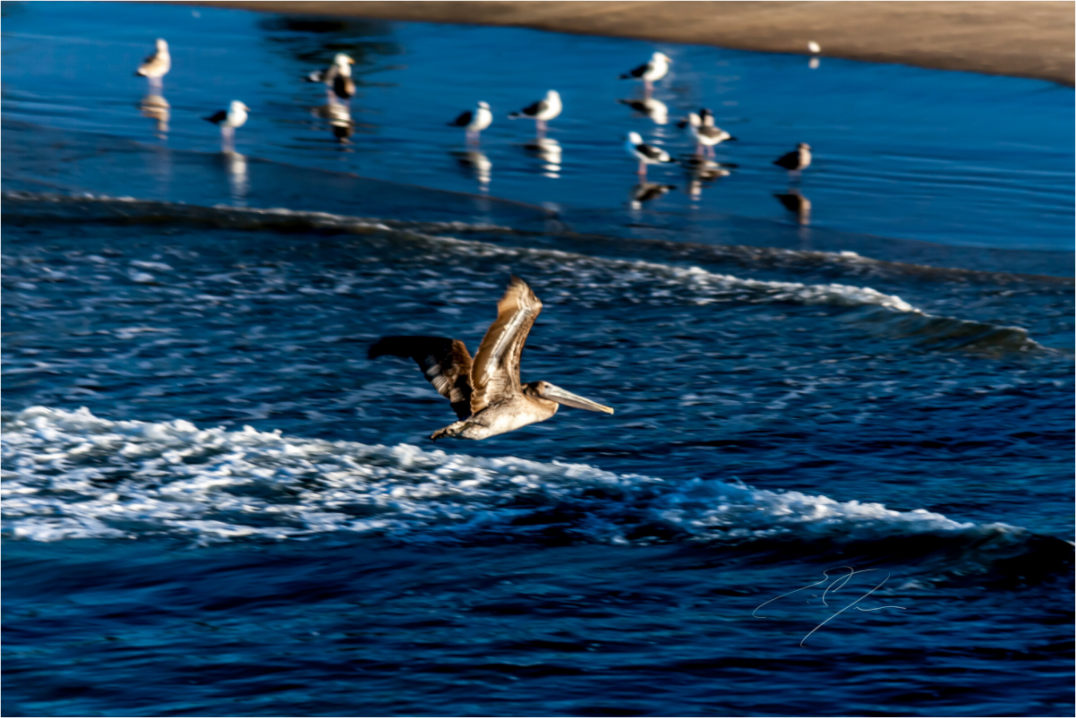 Main image SOLO FLIGHT