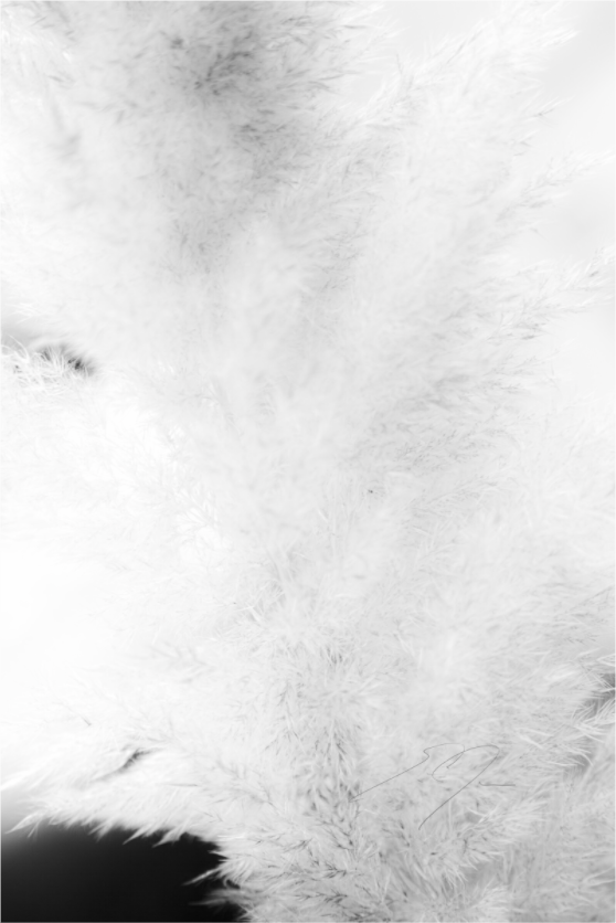 Main image DREAM STATE, No.2