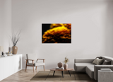 54 x 36″, PHOTO PRINT - FUJIFLEX HIGH GLOSS INCANDESCENCE