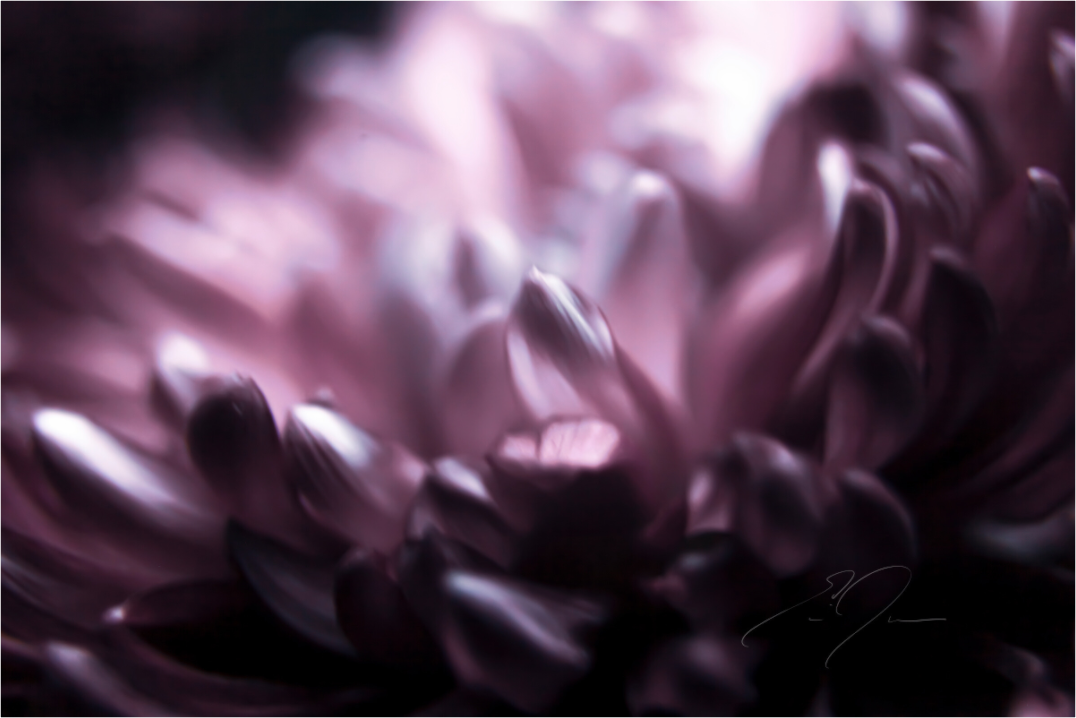 Main image CRASIS