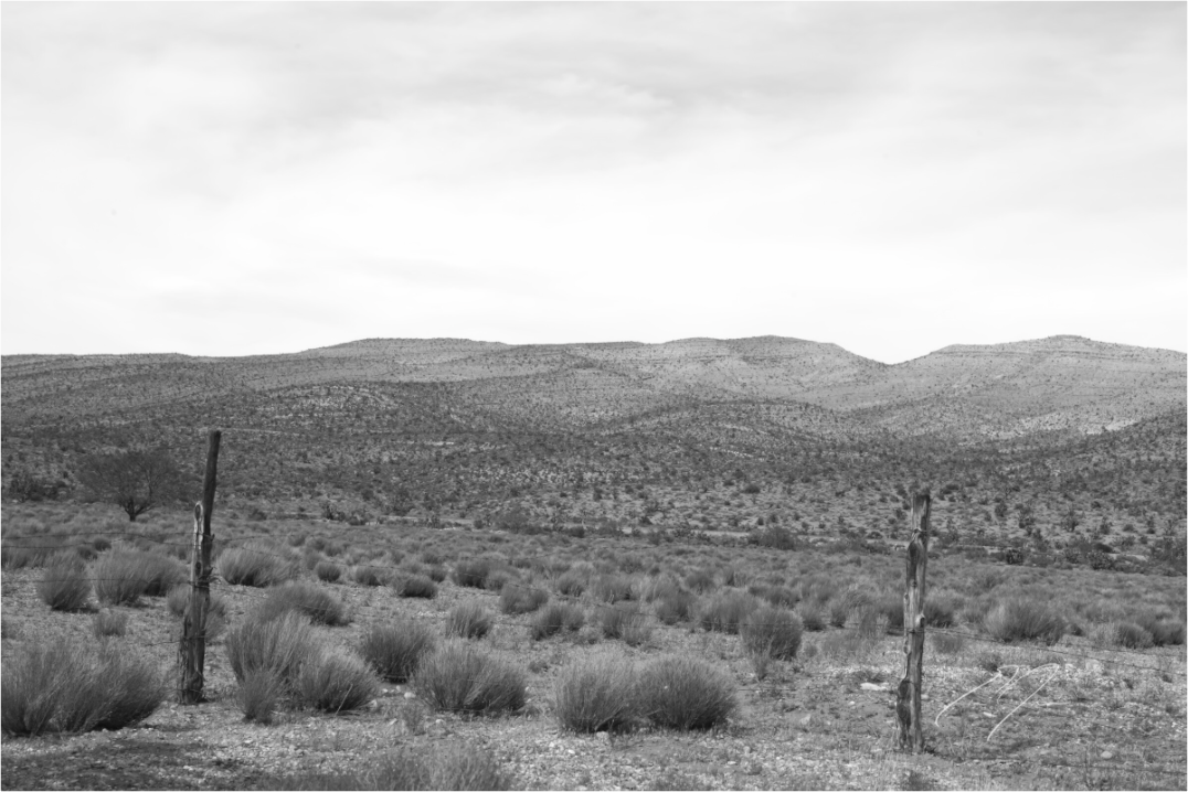 Main image SOLITUDE