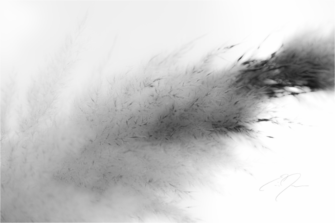 Main image DREAM STATE, No.6