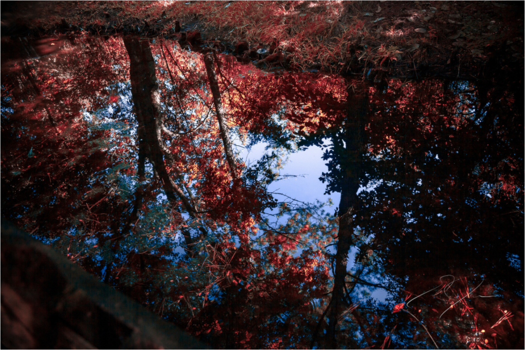 Main image NATURE'S REFLECTION