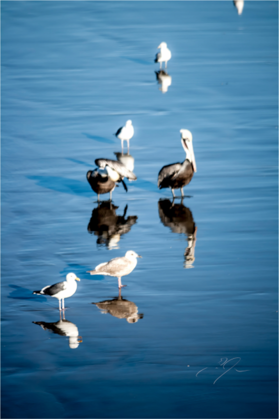 Main image OBSCURE REFLECTION