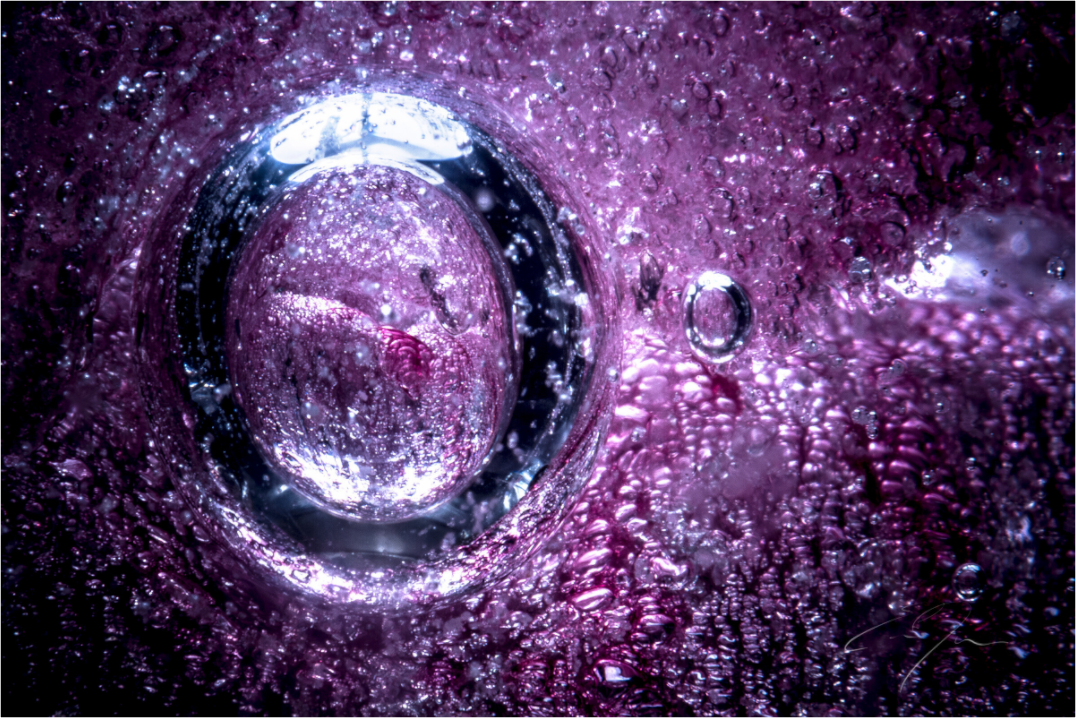 Main image COCOON