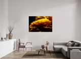 60 x 40″, PHOTO PRINT - FUJIFLEX HIGH GLOSS INCANDESCENCE