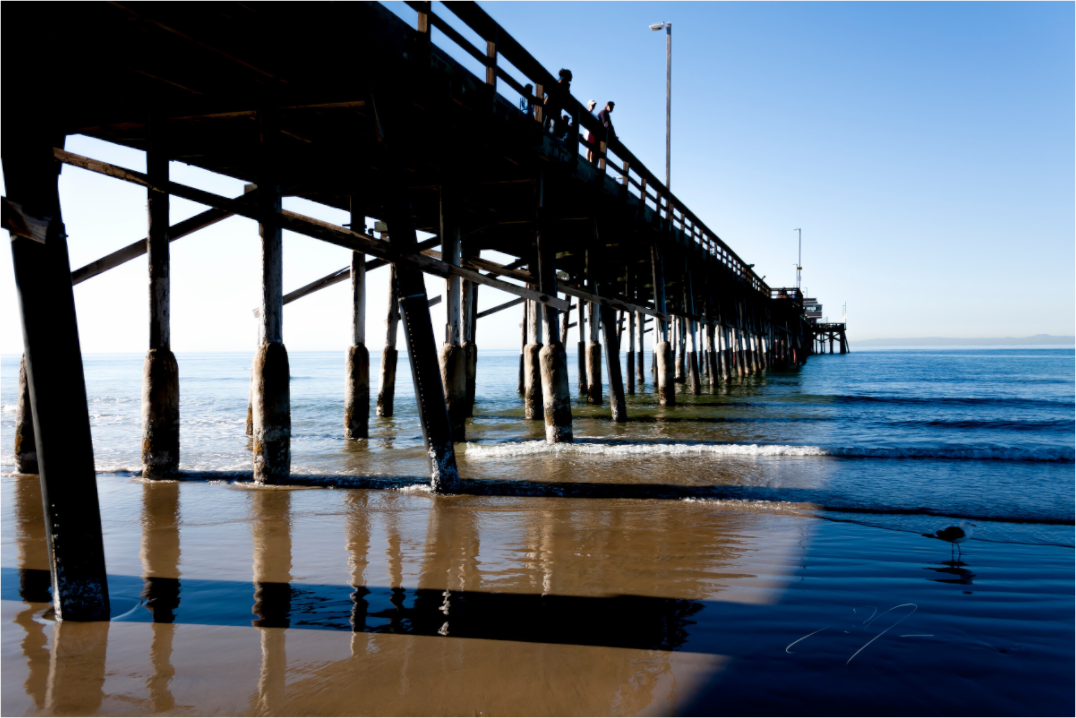 Main image ALONG THE PIER