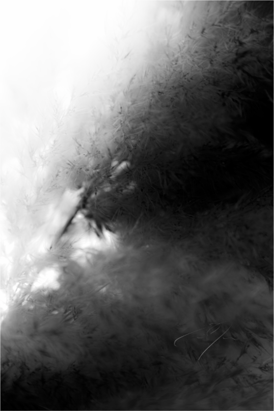 Main image DREAM STATE, No.9