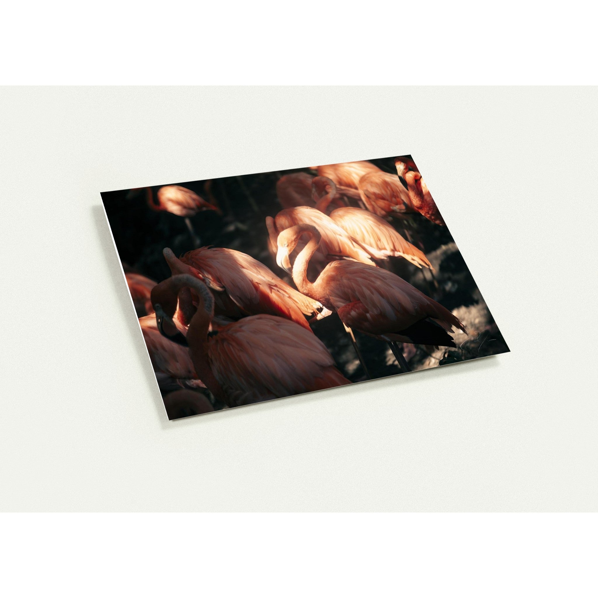 BASK IN THE LIGHT | Greeting Cards