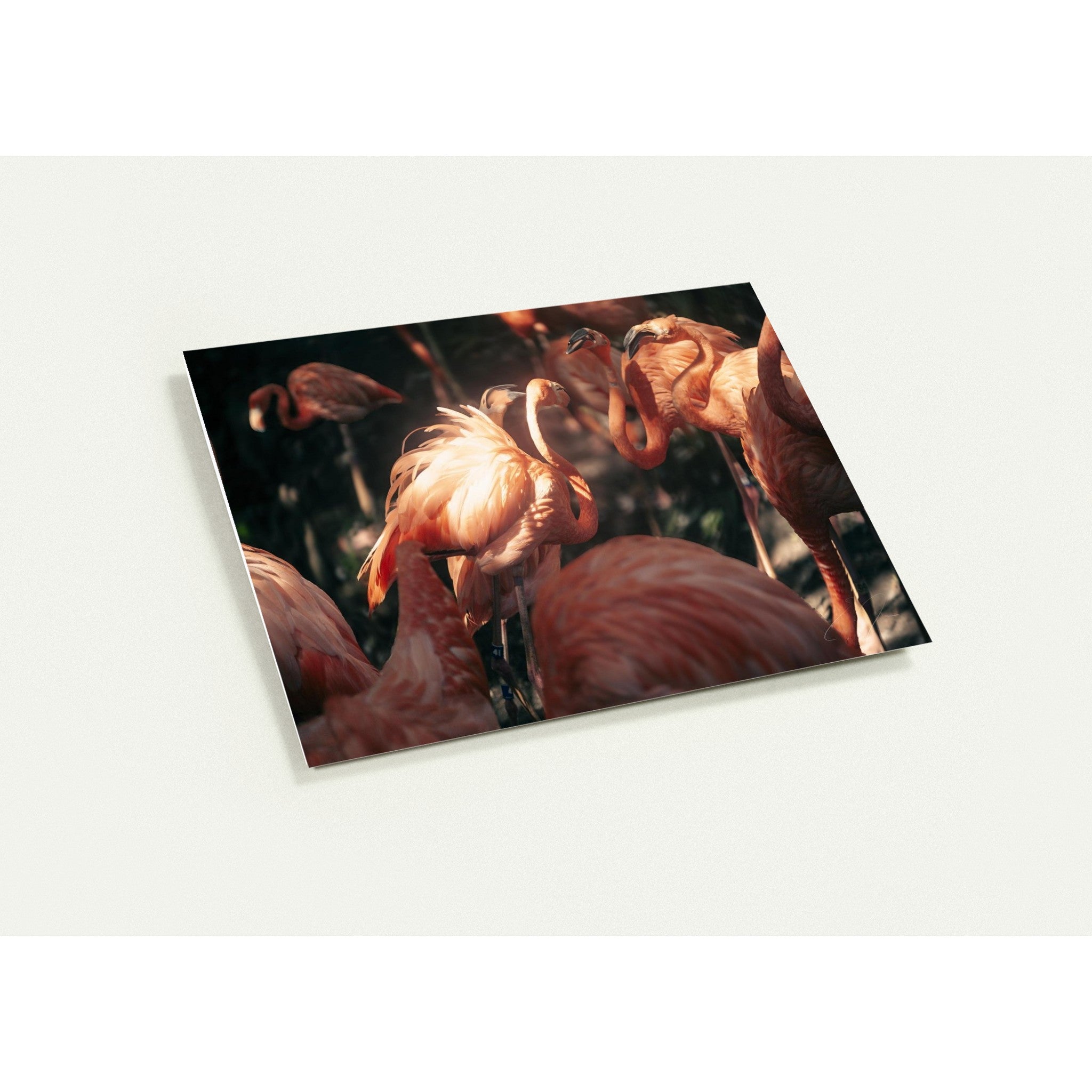 CHOSEN | Greeting Cards