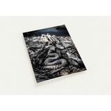 COILED | Greeting Cards