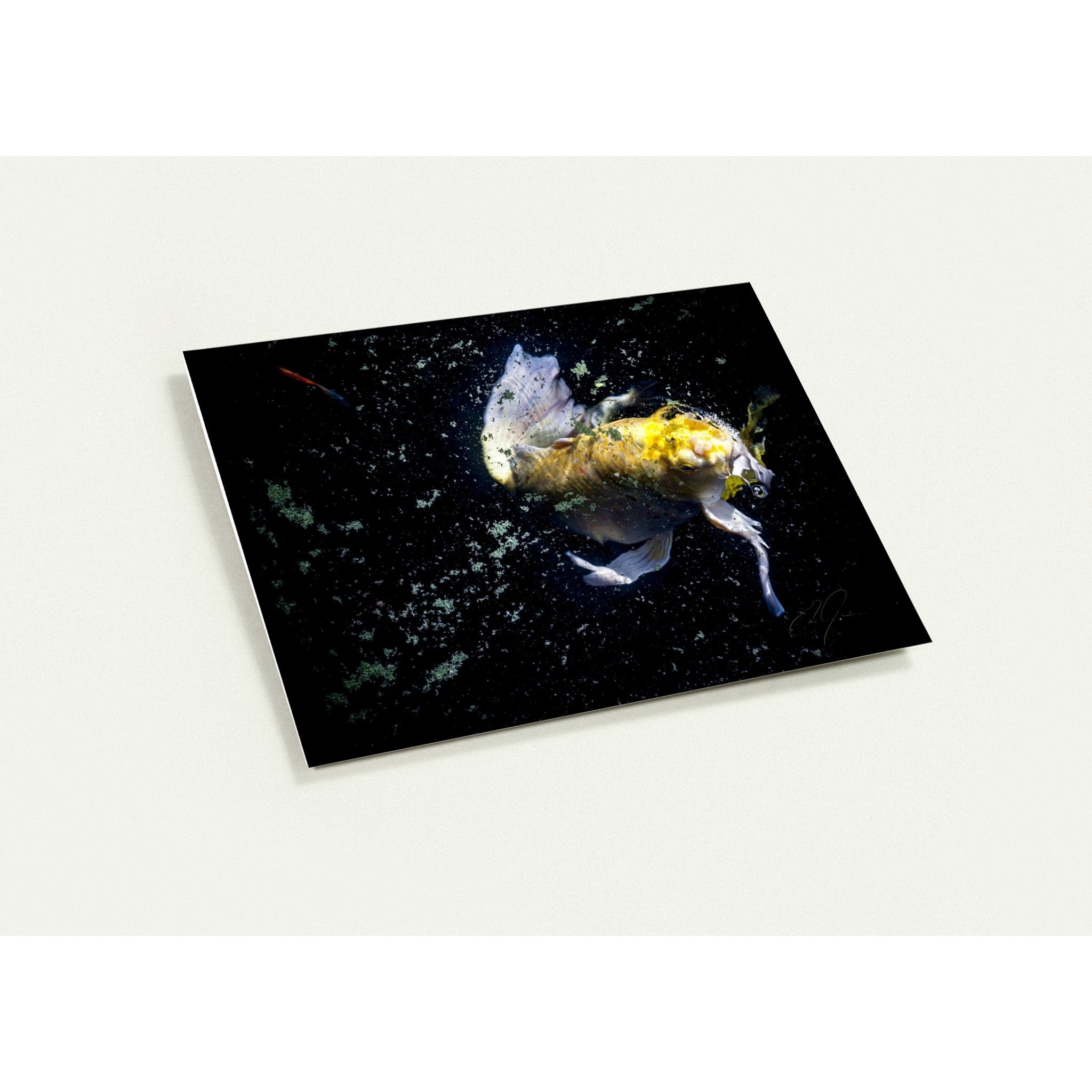 COMING UP FOR AIR | Greeting Cards
