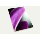 EPHEMERAL | Postcards