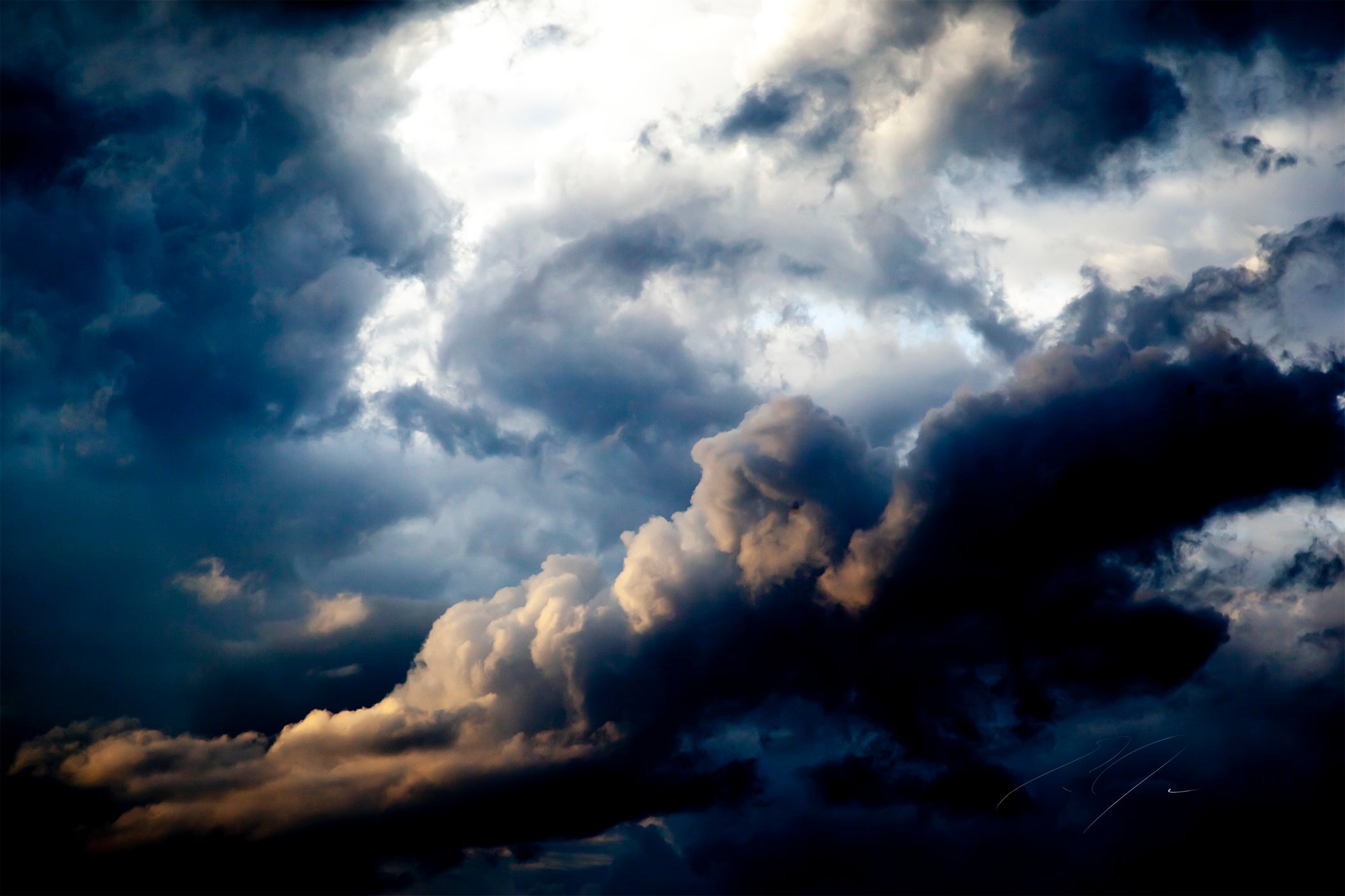 FINDING BEAUTY IN THE STORM (2020)