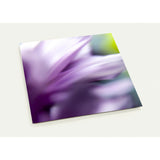 FLEETING | Postcards