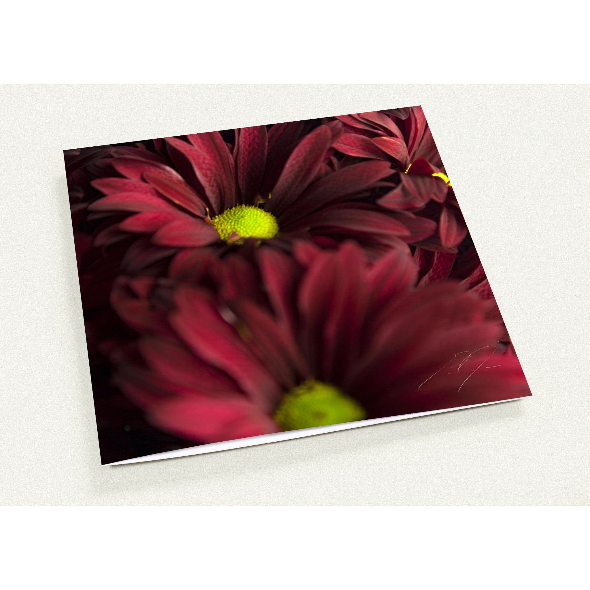 INDIVIDUALITY | Greeting Cards