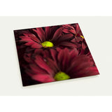 INDIVIDUALITY | Postcards