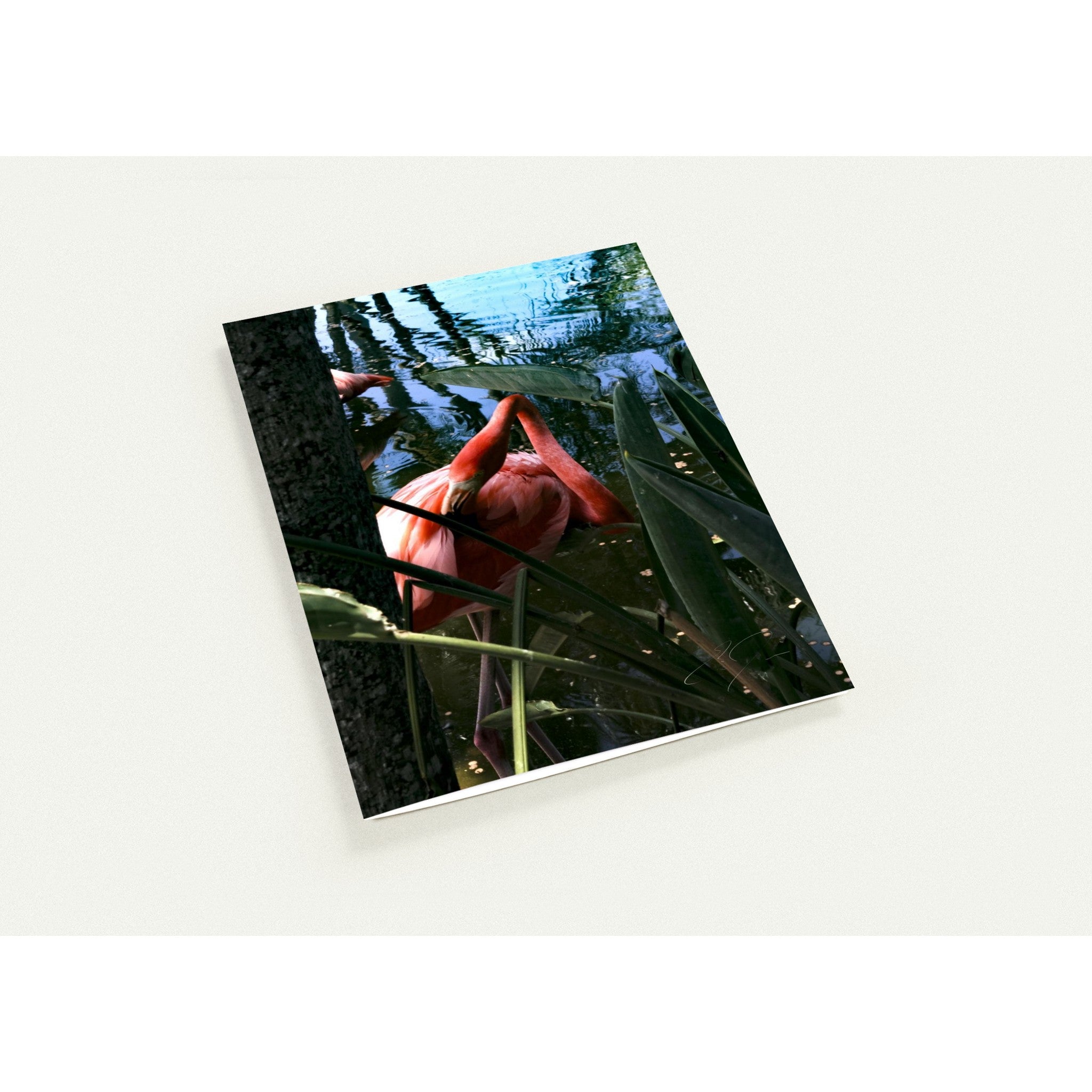 IN THE SHADE | Greeting Cards