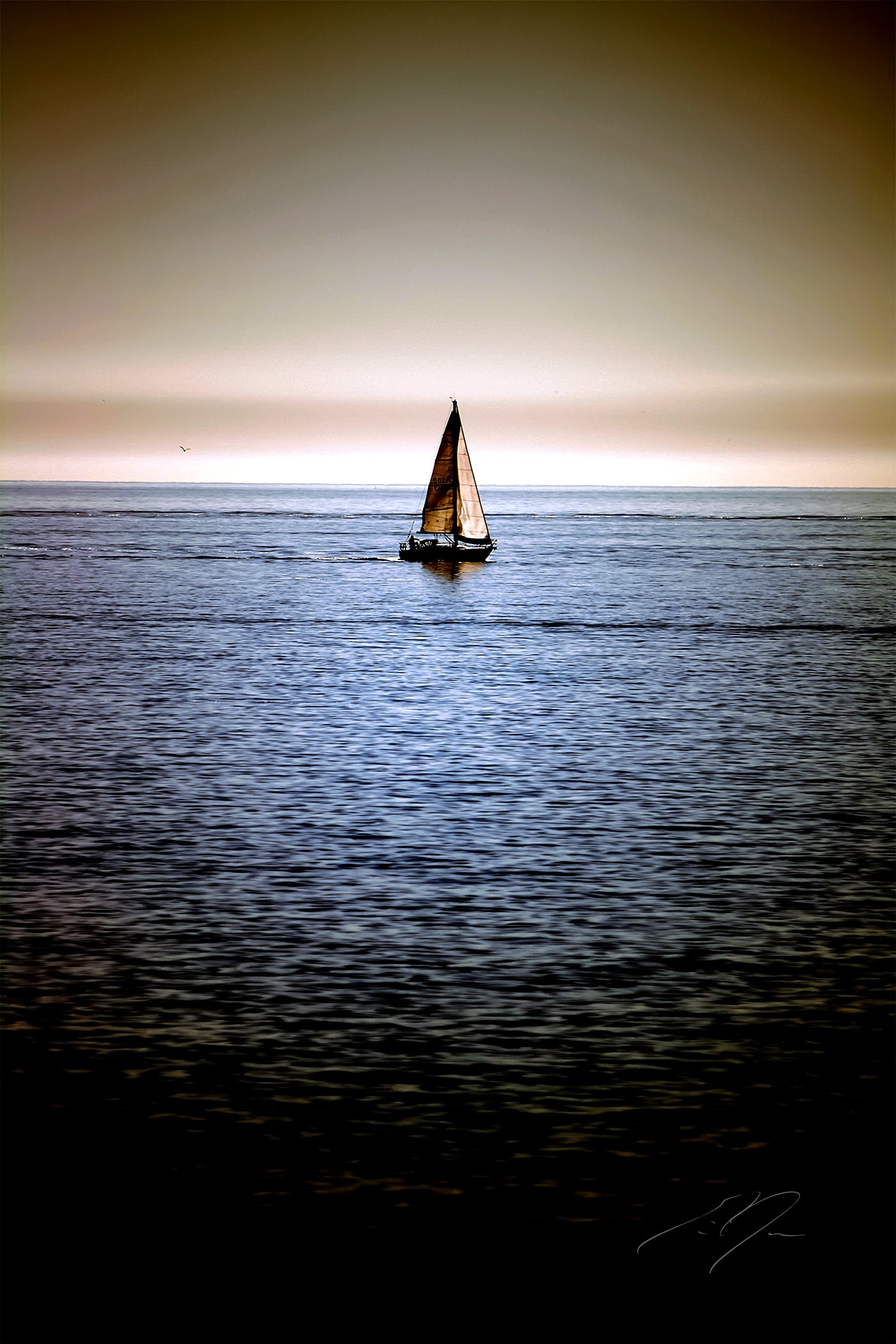LIKE A DREAM (2009)