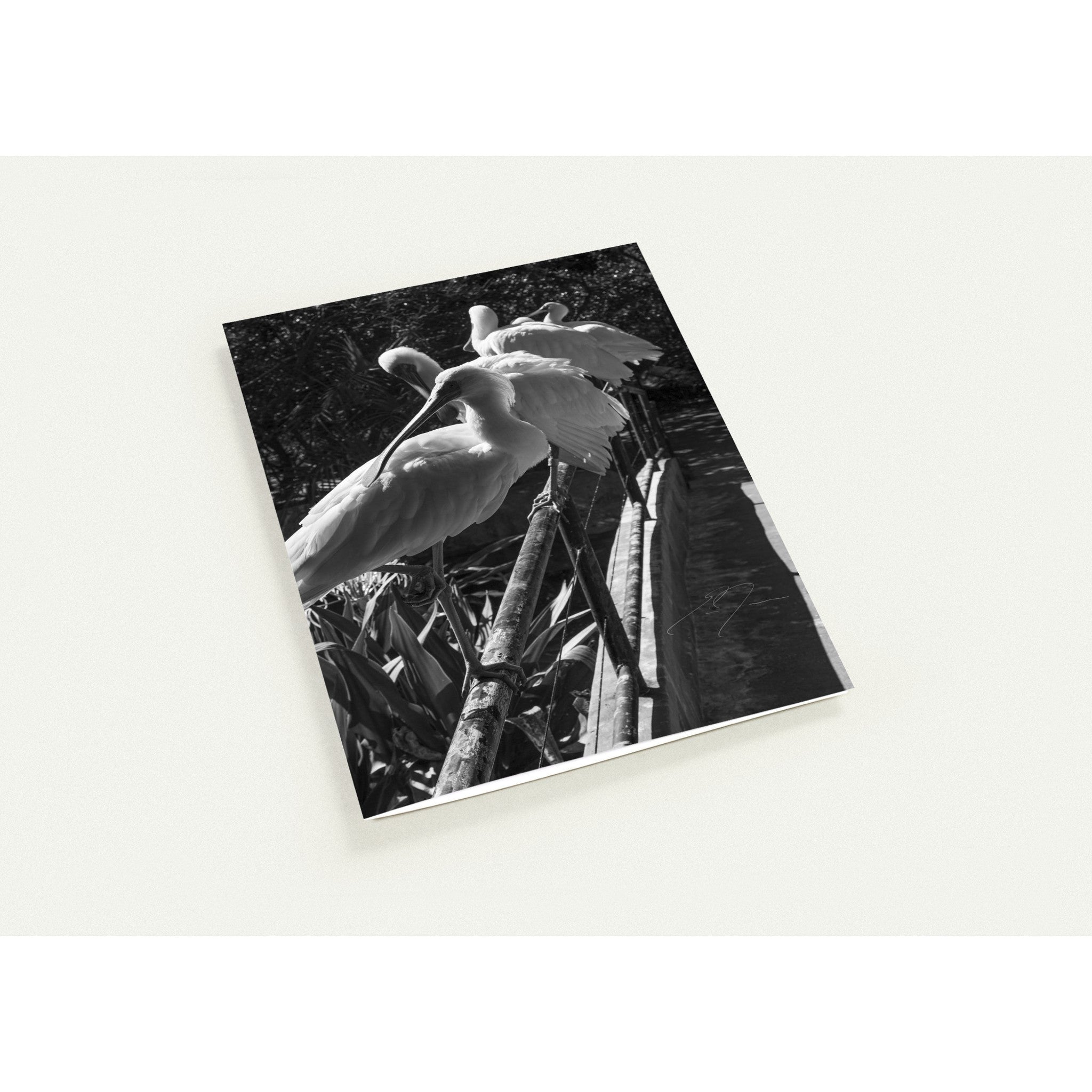 LOOKING BACK | Greeting Cards