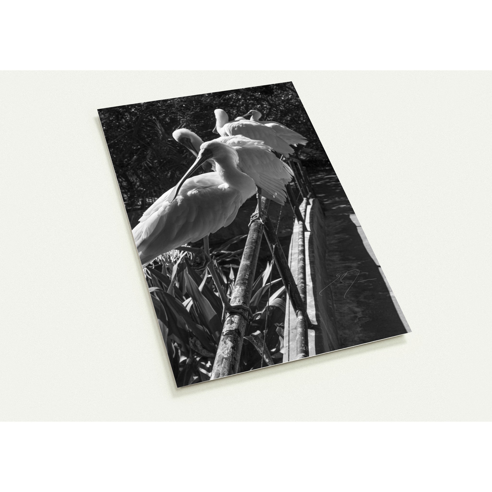 LOOKING BACK | Postcards