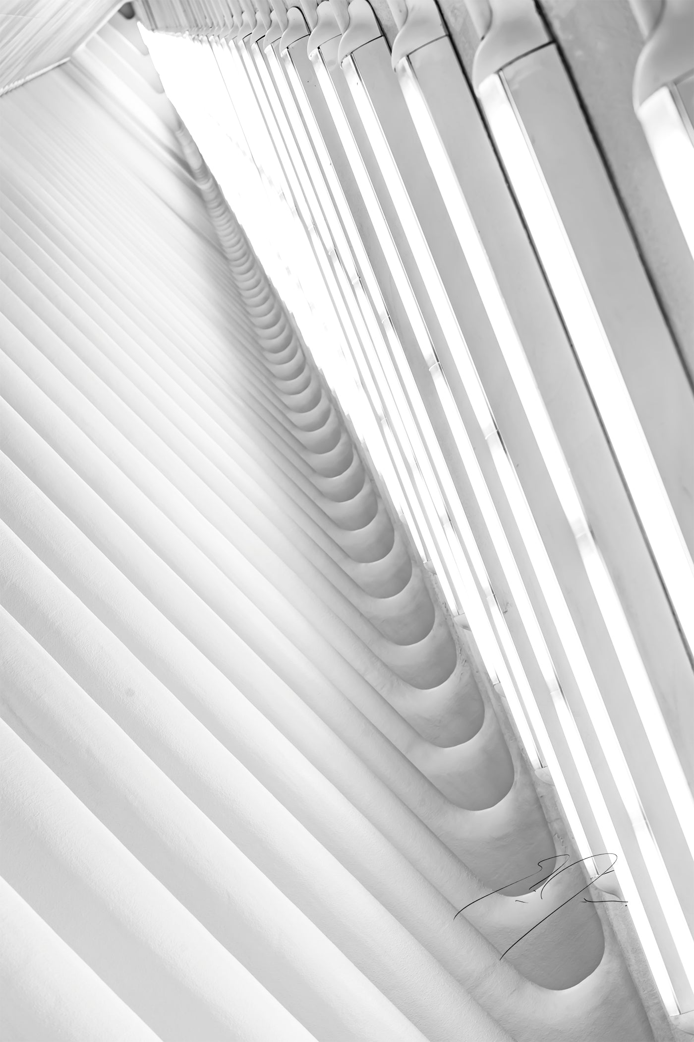 MADE OF LIGHT, No.3 (2019)