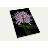 MUM, No.3 | Postcards