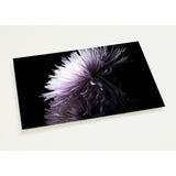 MUM, No.5 | Postcards