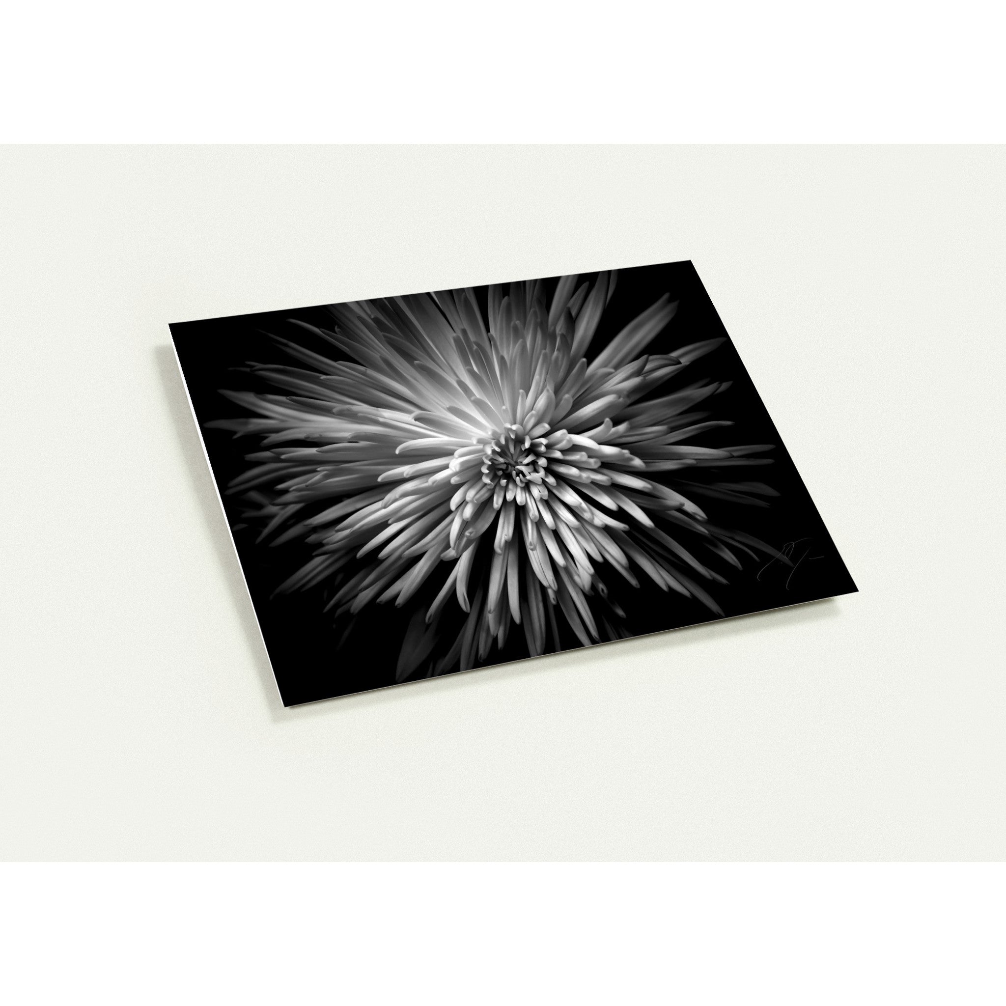 MUM, No.7 | Greeting Cards