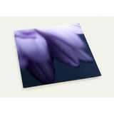 PETALS' EDGE | Postcards