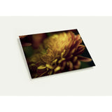 PETALS' GLOW | Greeting Cards