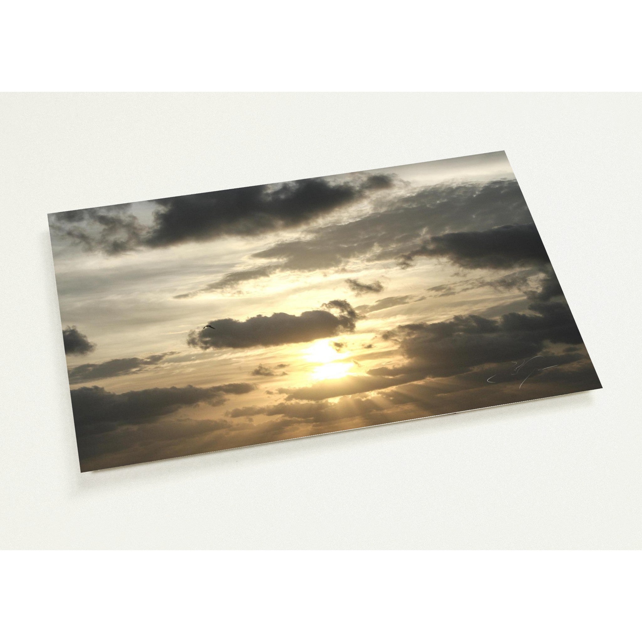 RAYS OF LIGHT | Postcards