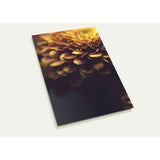 RUSTIC PETALS | Postcards