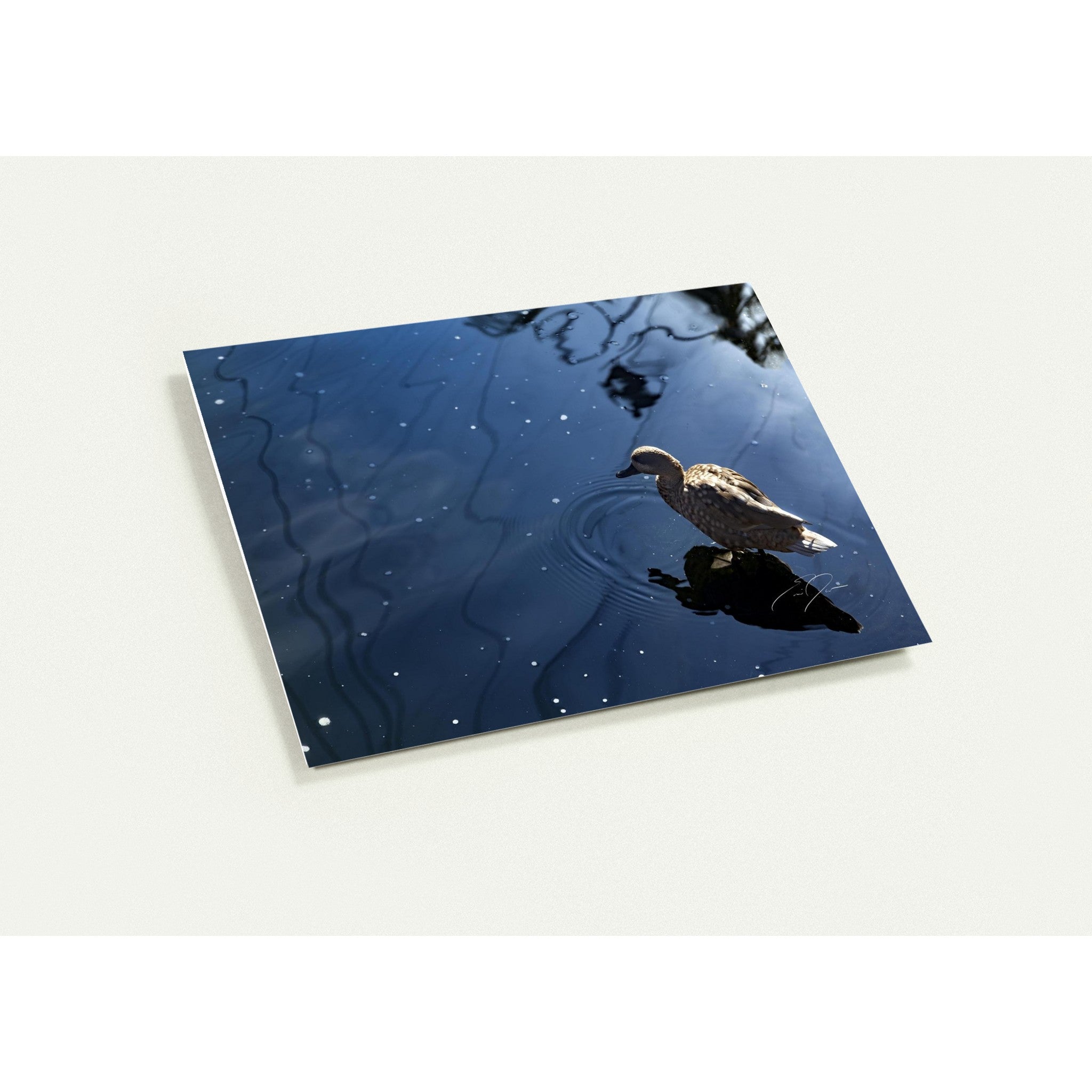 SIMPLE BEAUTY | Greeting Cards