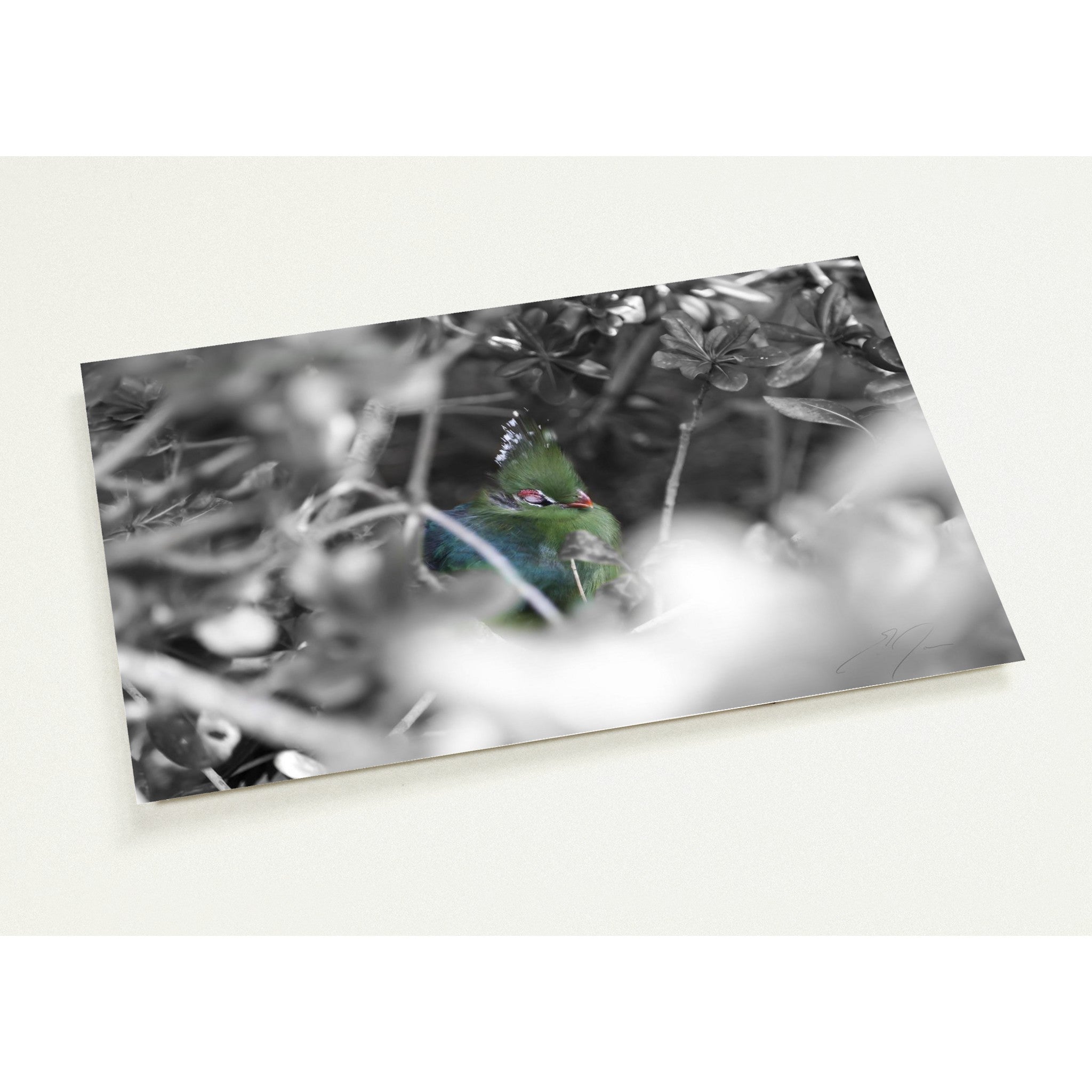 SLEEPING | Postcards