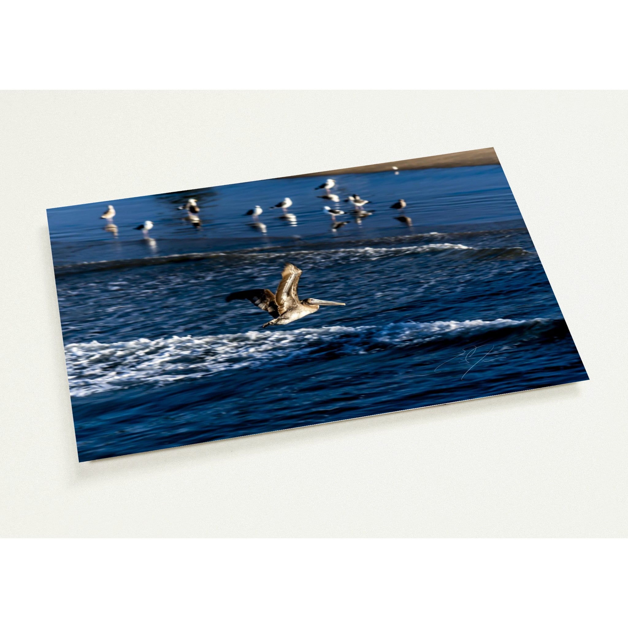 SOLO FLIGHT | Postcards