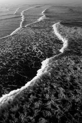 THE MORNING WAVES (2009)