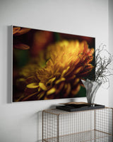 Wall Art: PETALS' GLOW w/ Interior