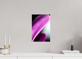 10 x 15″, PHOTO PRINT - FUJIFLEX HIGH GLOSS EPHEMERAL