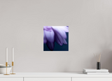 10 x 10″, PHOTO PRINT - FUJIFLEX HIGH GLOSS PETALS' EDGE