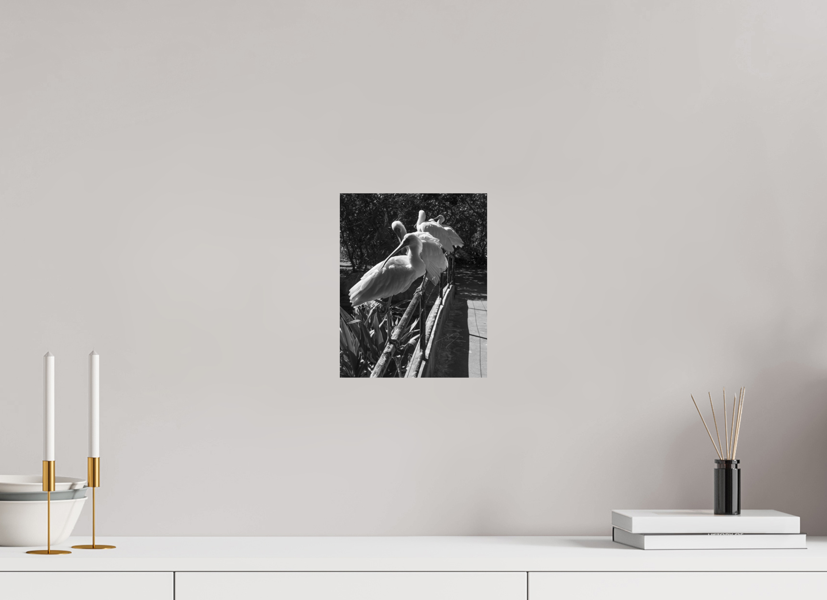 8 x 10″, PHOTO PRINT - FUJIFLEX HIGH GLOSS LOOKING BACK