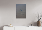 20 x 30″, PHOTO PRINT - FUJIFLEX HIGH GLOSS TWO BIRDS