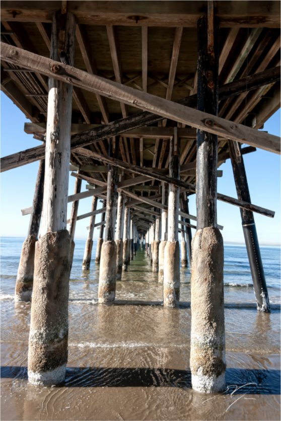 Main image PIER