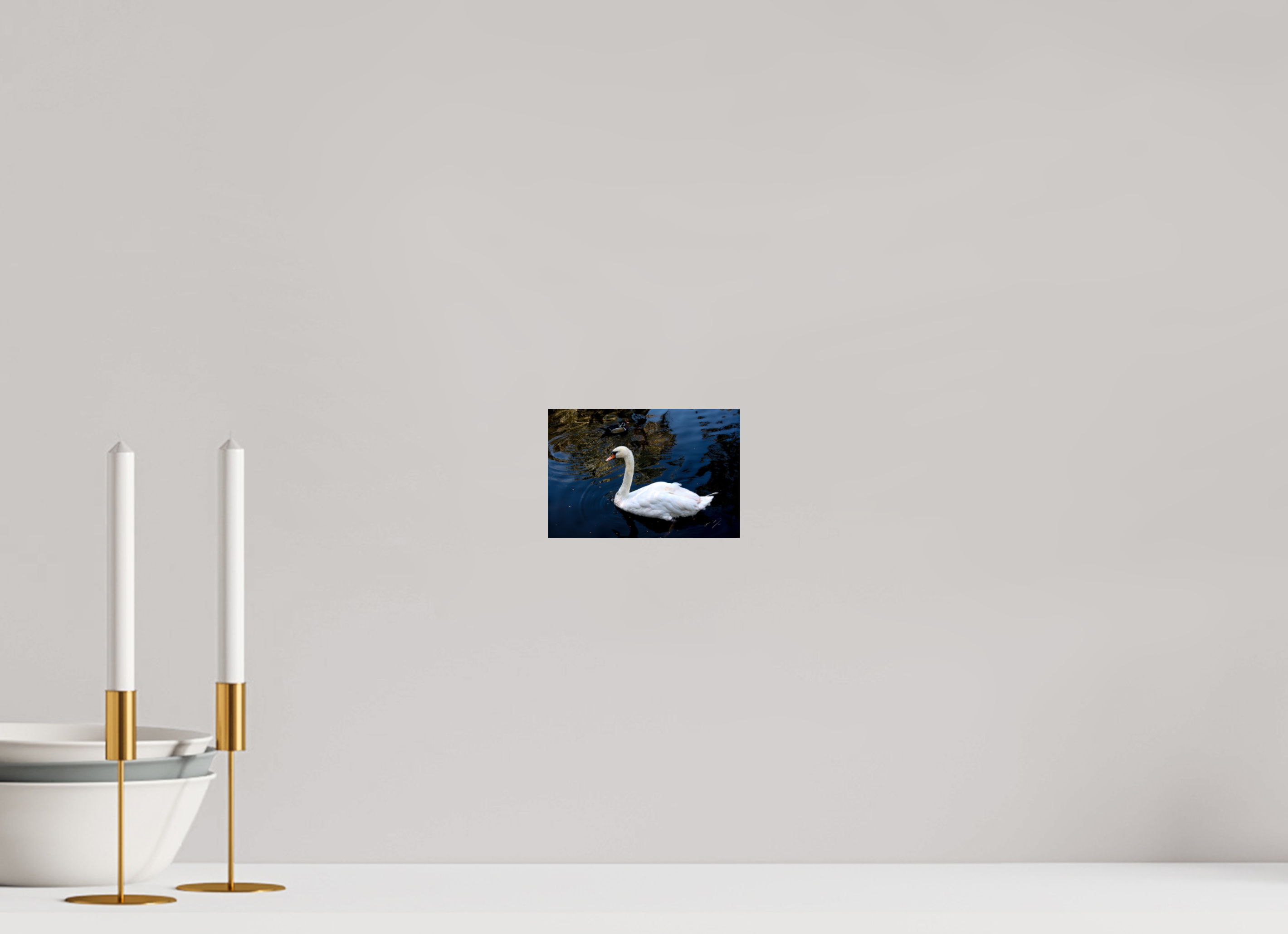 6 x 4″, PHOTO PRINT - FUJIFLEX HIGH GLOSS SWAN