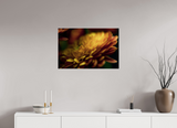 30 x 20″, PHOTO PRINT - FUJIFLEX HIGH GLOSS PETALS' GLOW