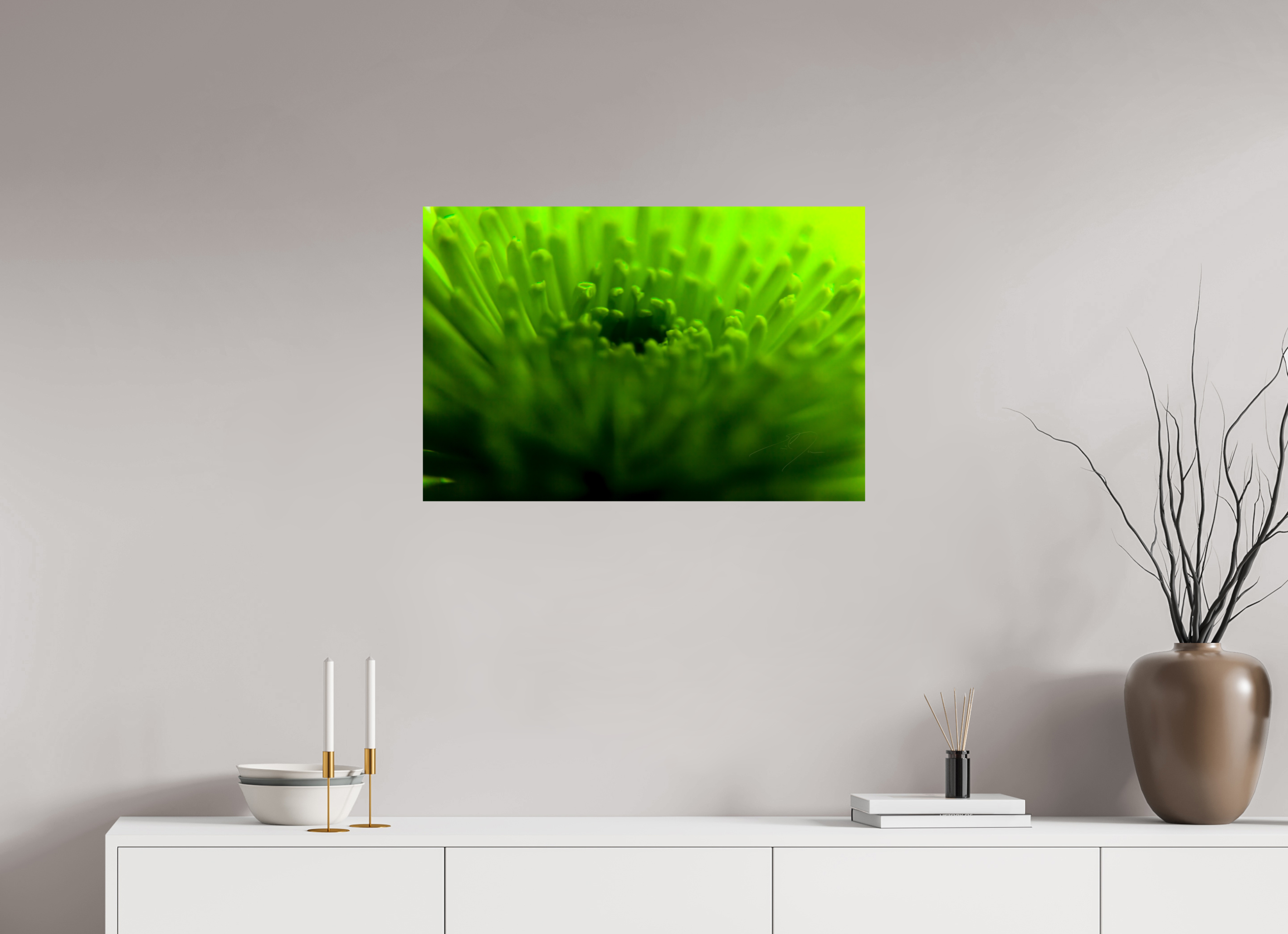 30 x 20″, PHOTO PRINT - FUJIFLEX HIGH GLOSS COME TO LIFE