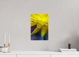 10 x 15″, PHOTO PRINT - FUJIFLEX HIGH GLOSS EDGE OF FALLING