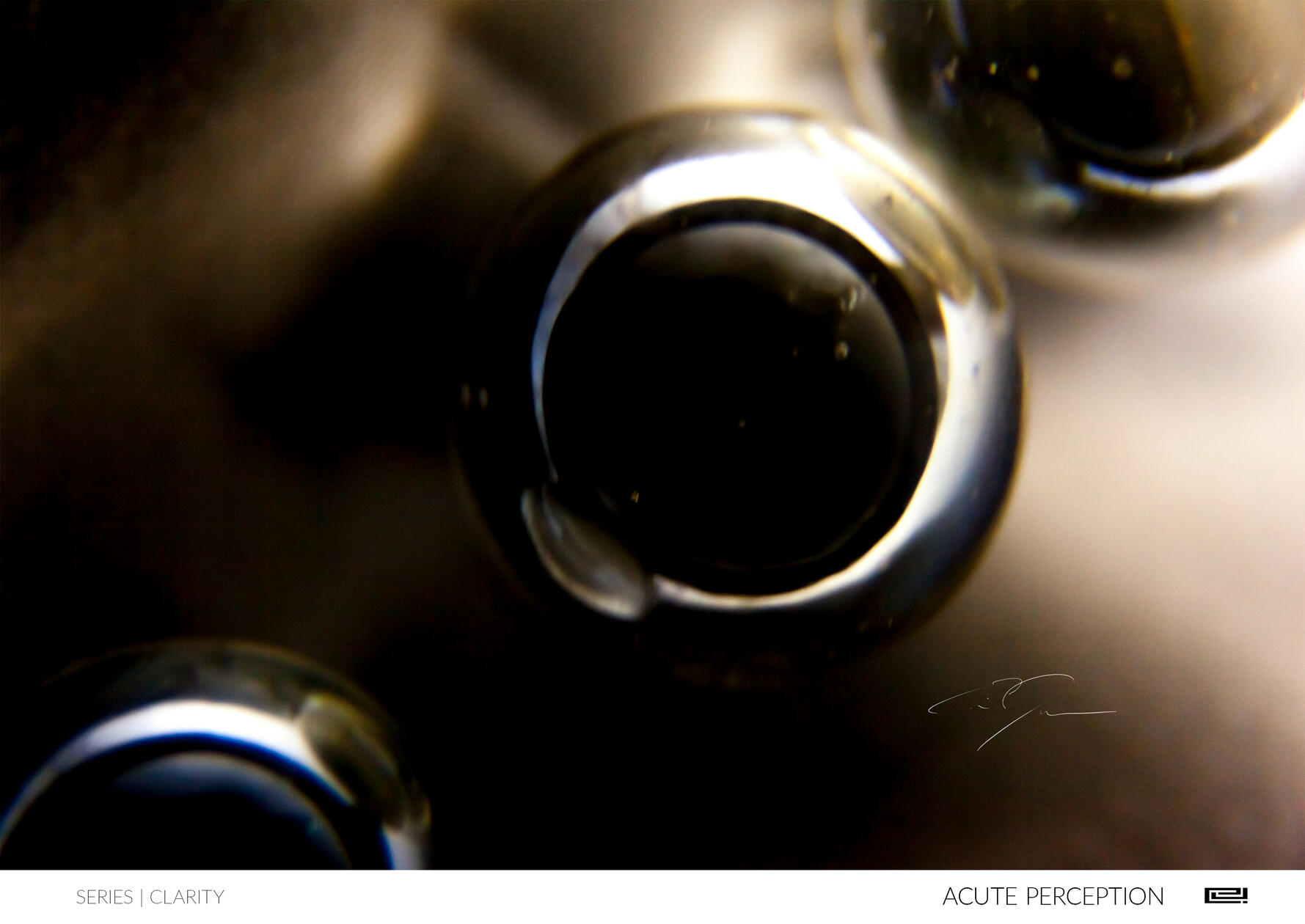ACUTE PERCEPTION | Open Edition Print by Eric C. Jackson Studio